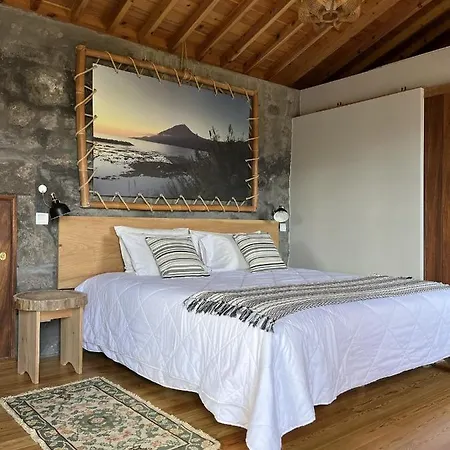 Pico Formoso Vinea Lava Alojamentos Pico Maison d'hôtes Prainha (Sao Roque do Pico)