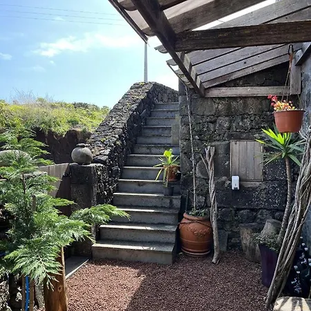 Pico Formoso Vinea Lava Alojamentos Pico