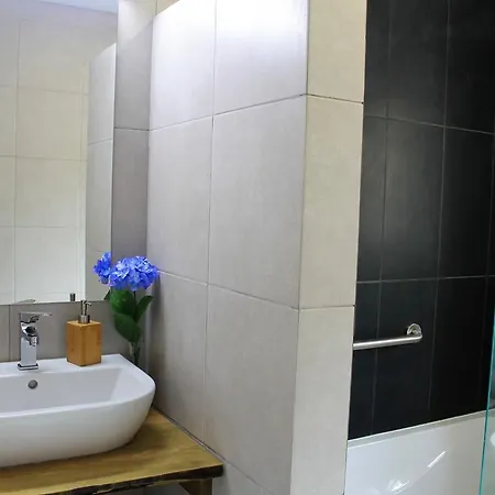 Pico Formoso Vinea Lava Alojamentos Pico Prainha (Sao Roque do Pico)