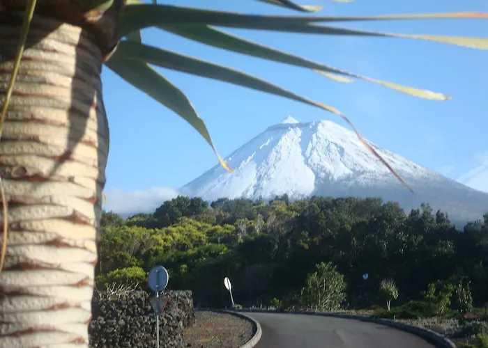 Pico Formoso Vinea Lava Alojamentos Pico بيت ضيافة 4*