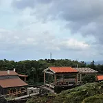 Pico Formoso Vinea Lava Alojamentos Pico 4*