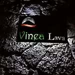 Pico Formoso Vinea Lava Alojamentos Pico 4*