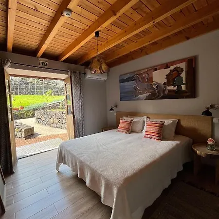 Pico Formoso Vinea Lava Alojamentos Pico * Праинья-де-Байшу