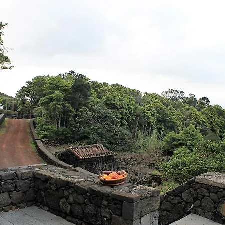 Pensión Pico Formoso Vínea Lava Alojamentos Pico 3*