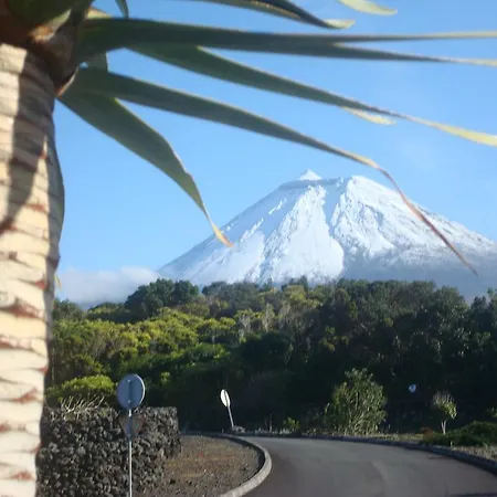Pico Formoso Vínea Lava Alojamentos Pico Pensión 3*