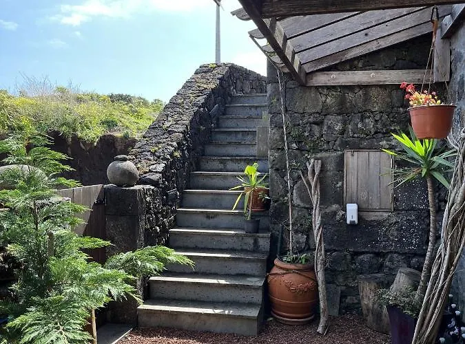 Pico Formoso Vinea Lava Alojamentos Pico